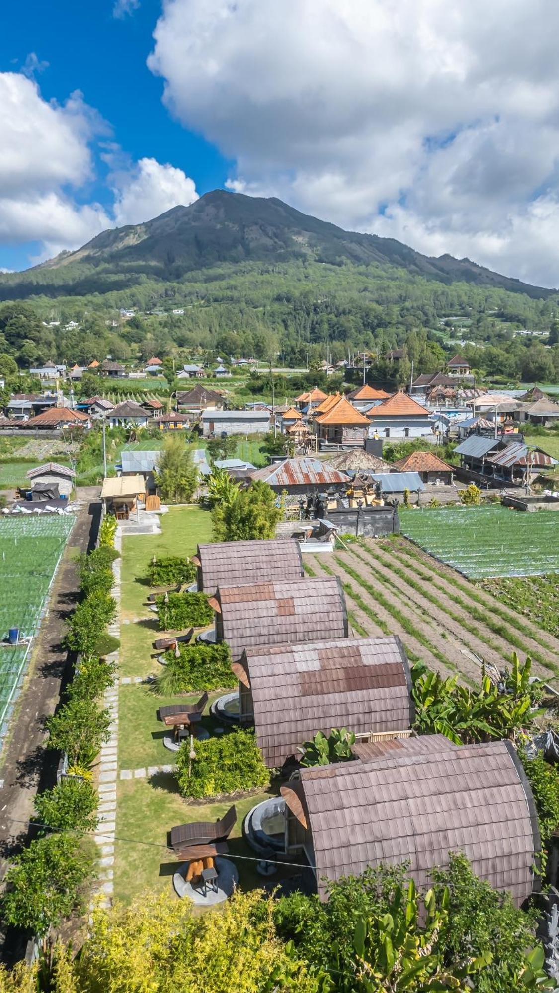 Tegal Bamboo Cottages & Private Hot Spring Baturaja  Kültér fotó
