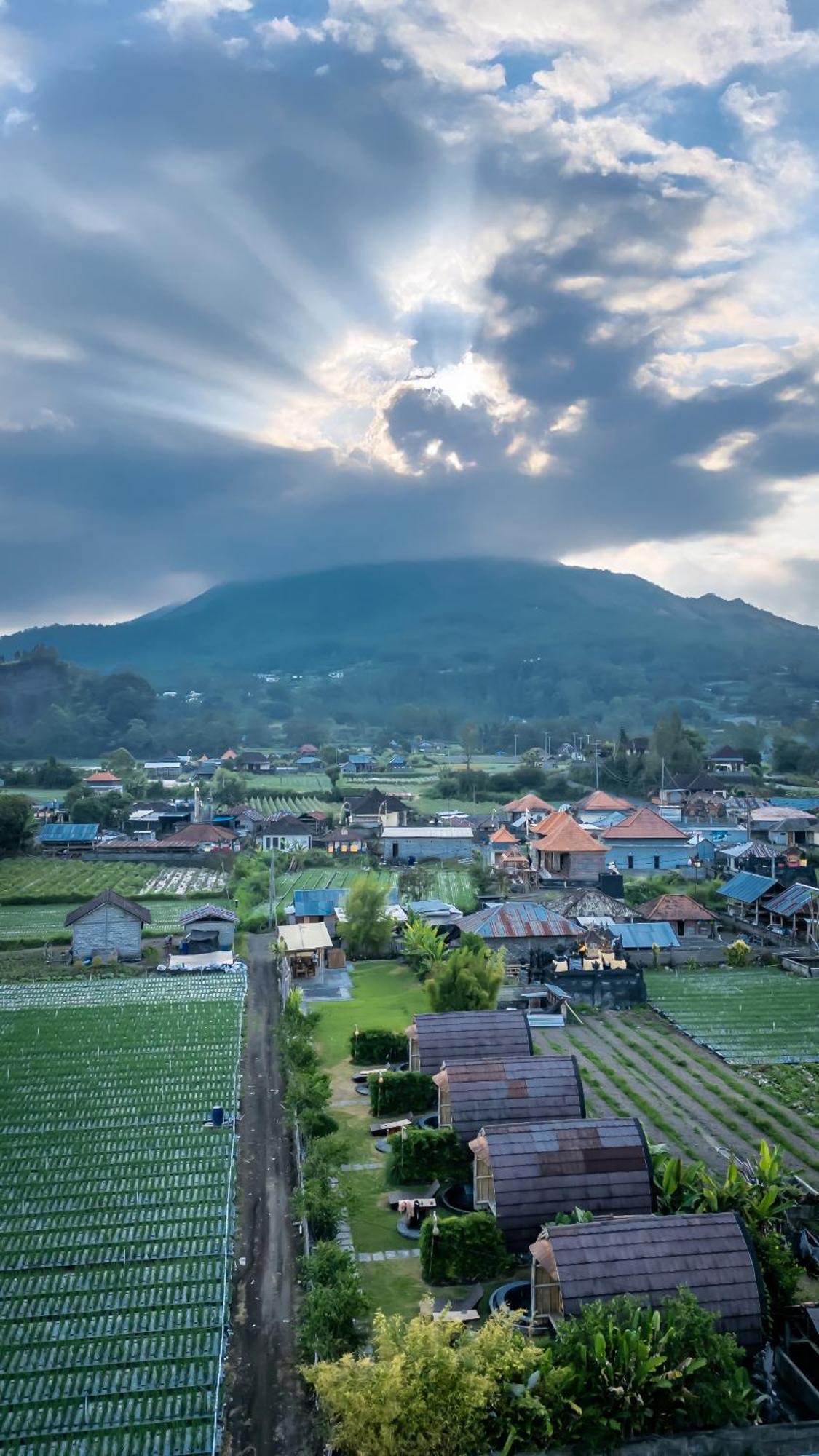 Tegal Bamboo Cottages & Private Hot Spring Baturaja  Kültér fotó